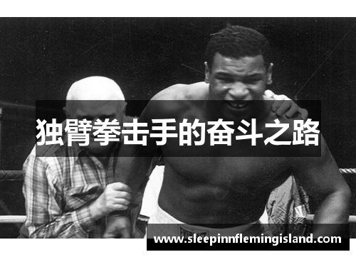 独臂拳击手的奋斗之路