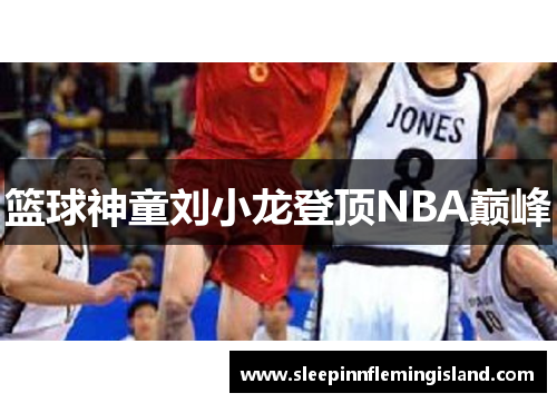 篮球神童刘小龙登顶NBA巅峰